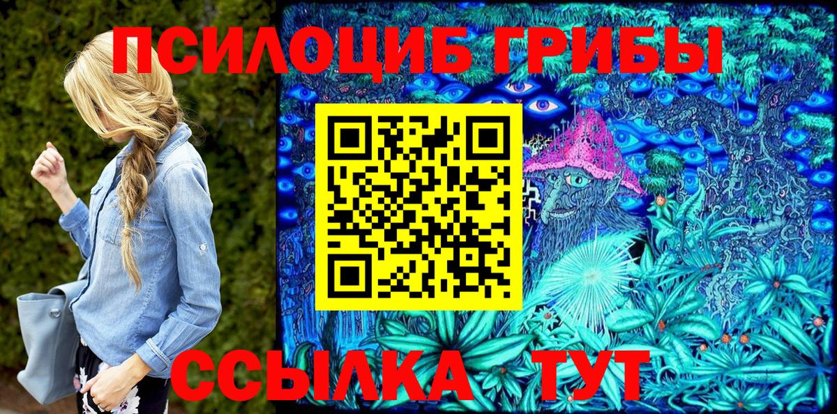 Псилоцибиновые грибы прущие грибы Междуреченск